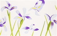 Blue Flags | Flowers, 2014